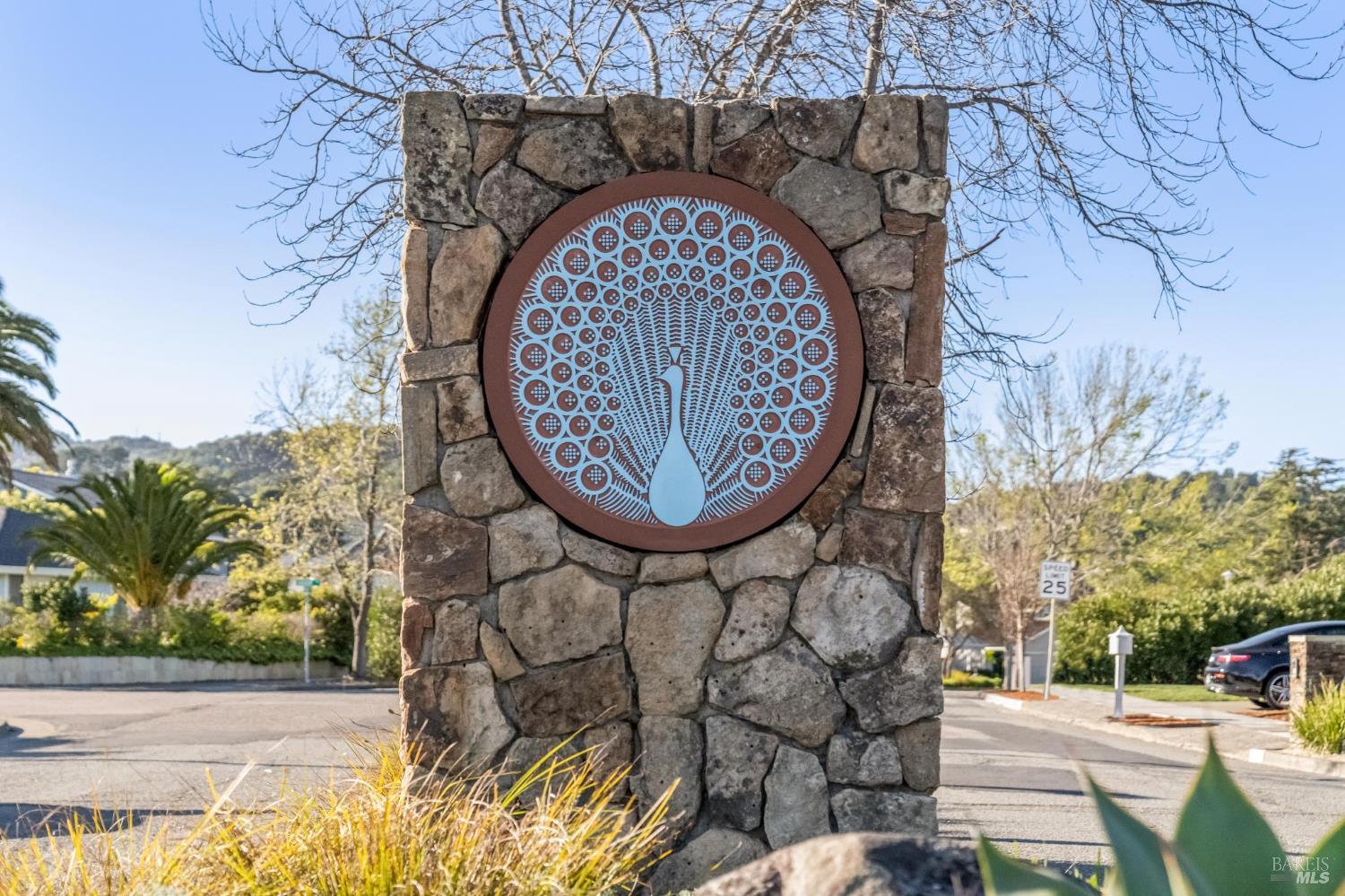 Detail Gallery Image 44 of 45 For 266 Riviera Dr, San Rafael,  CA 94901 - 4 Beds | 2 Baths