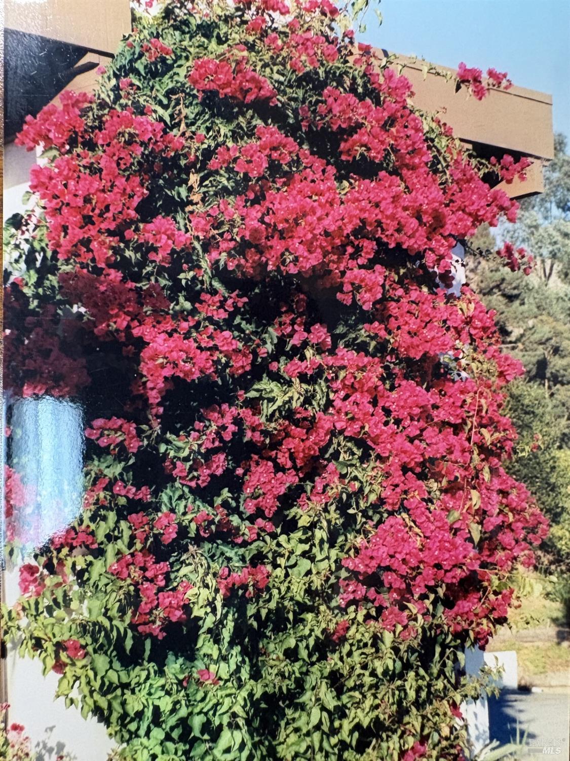 Detail Gallery Image 45 of 46 For 2 Paseo Mirasol Unkn, Tiburon,  CA 94920 - 5 Beds | 2/1 Baths