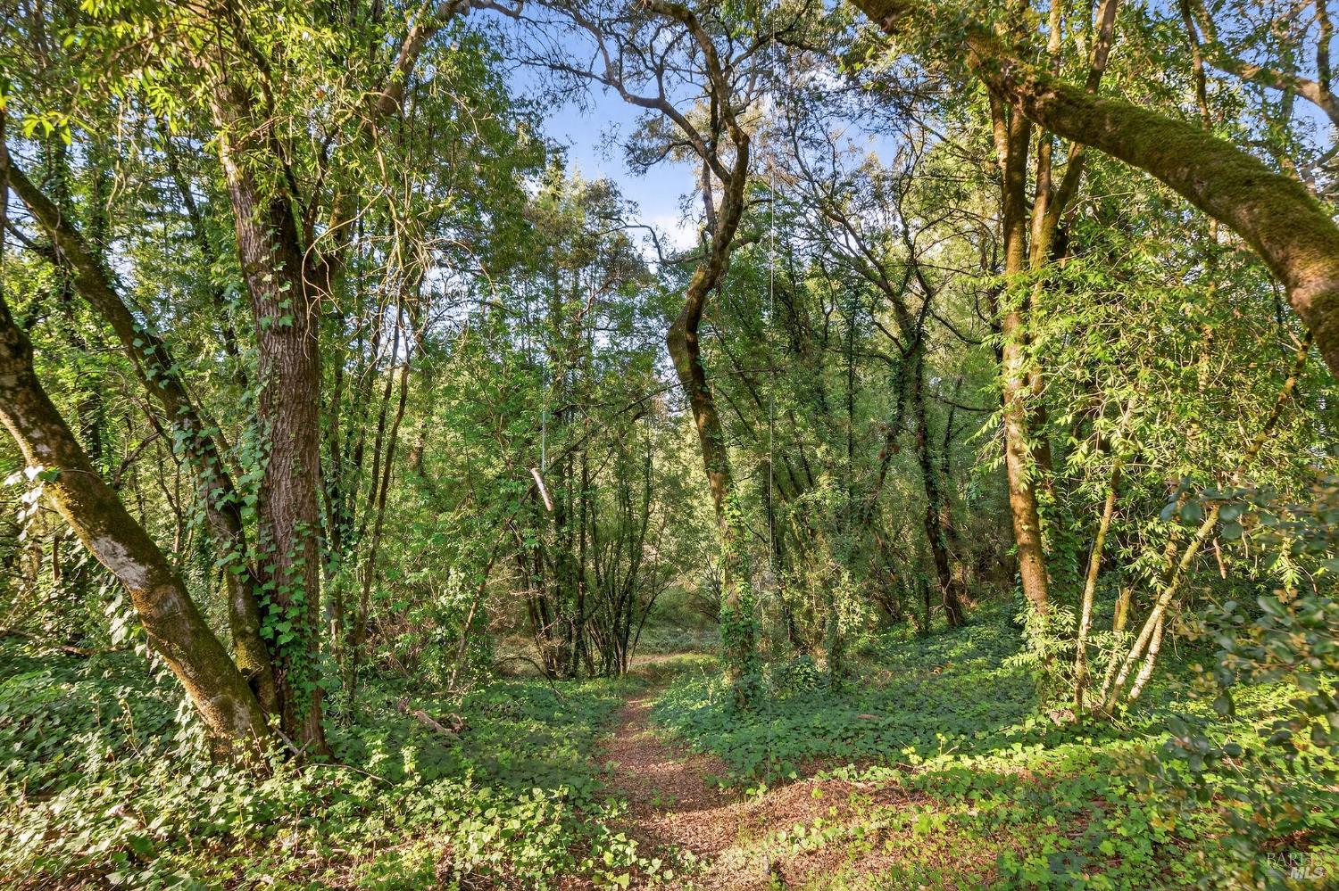 Detail Gallery Image 41 of 50 For 1450 Timberhill Rd, Santa Rosa,  CA 95401 - 6 Beds | 4 Baths