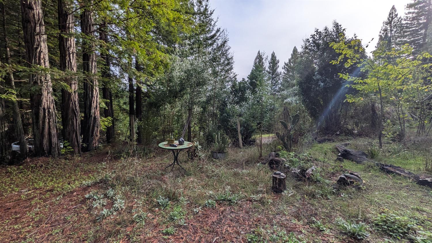 Detail Gallery Image 13 of 16 For 19800 Appaloosa Way, Philo,  CA 95466 - – Beds | – Baths