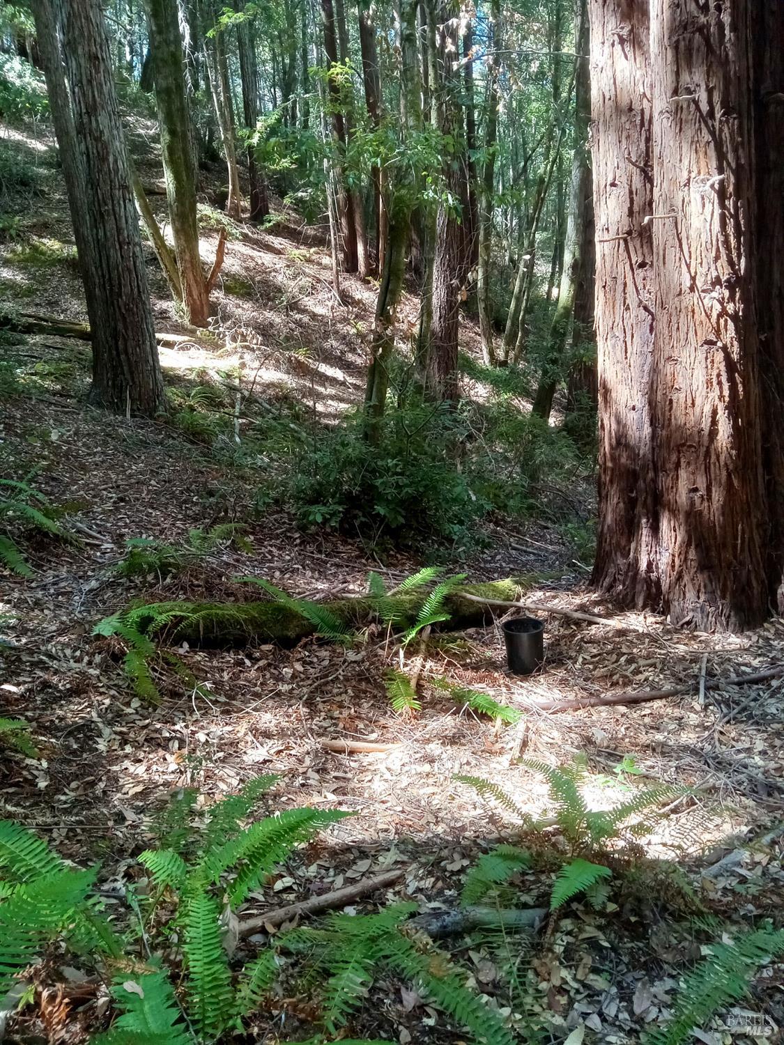 Detail Gallery Image 8 of 16 For 19800 Appaloosa Way, Philo,  CA 95466 - – Beds | – Baths