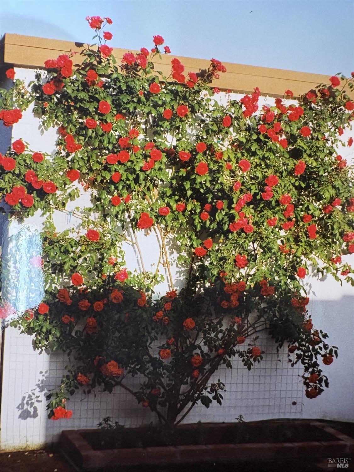 Detail Gallery Image 46 of 46 For 2 Paseo Mirasol Unkn, Tiburon,  CA 94920 - 5 Beds | 2/1 Baths