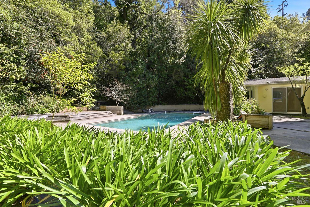 Detail Gallery Image 49 of 53 For 214 Poplar Dr, Kentfield,  CA 94904 - 4 Beds | 2/1 Baths