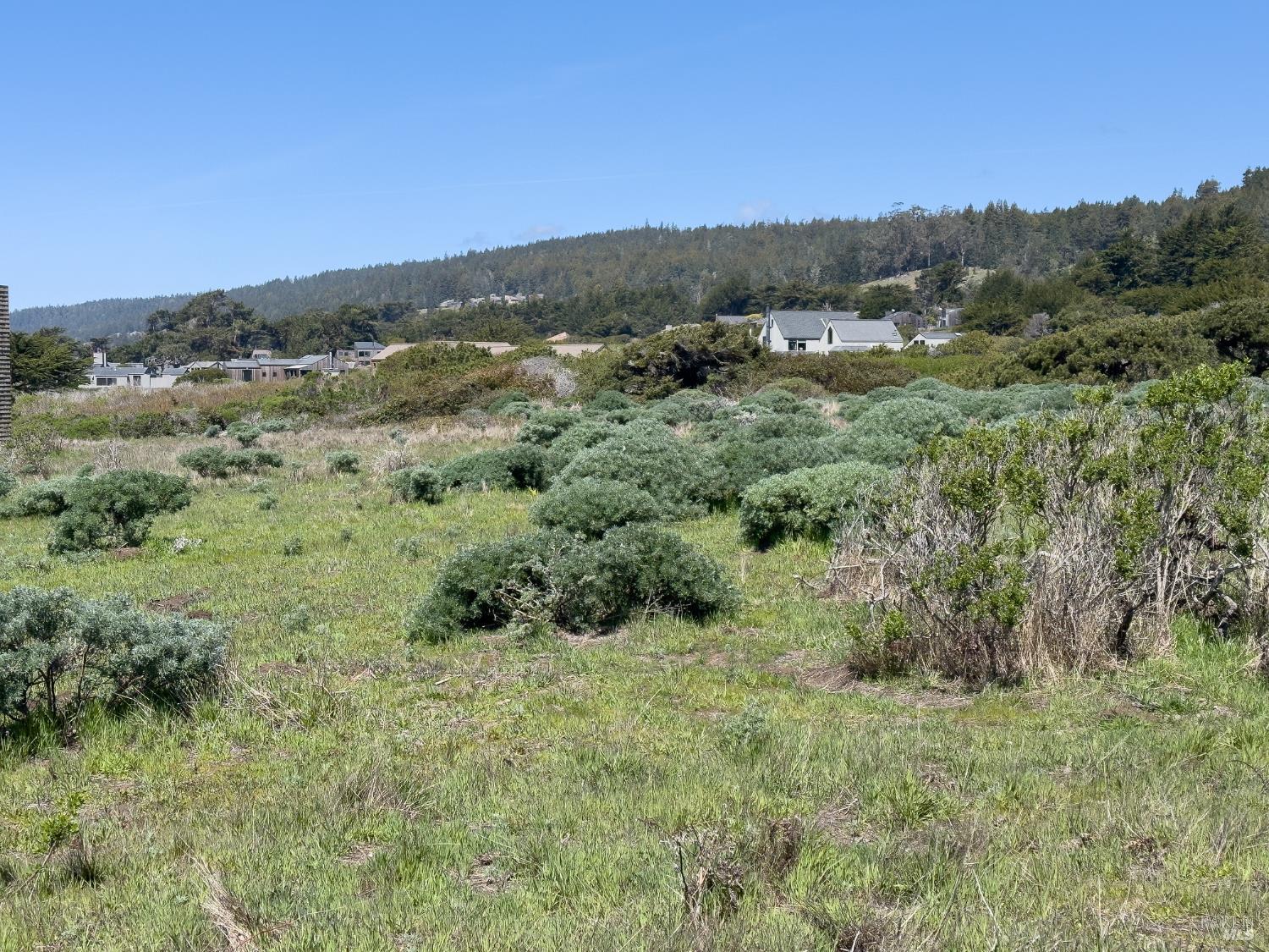 Detail Gallery Image 11 of 15 For 36910 Green Cove Dr, The Sea Ranch,  CA 95497 - – Beds | – Baths