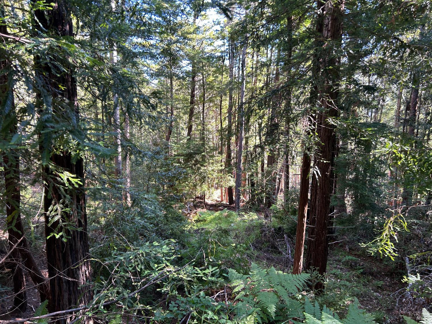 Detail Gallery Image 6 of 13 For 39700 Eureka Hill Rd, Point Arena,  CA 95468 - – Beds | – Baths