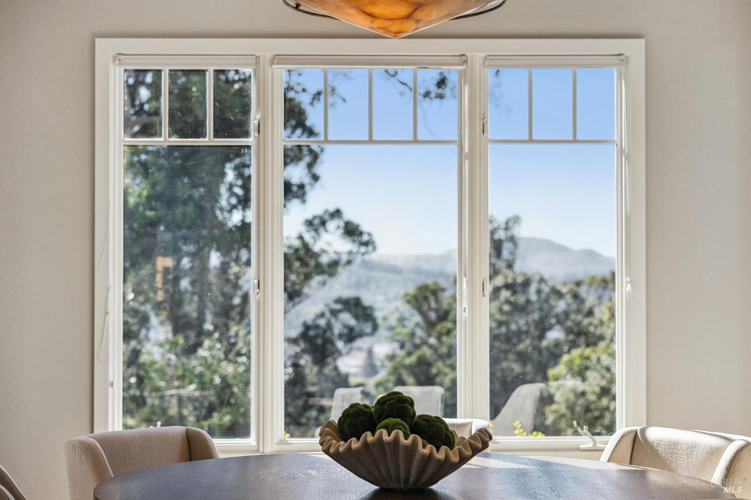 Detail Gallery Image 24 of 80 For 99 Deer Park Ave, San Rafael,  CA 94901 - 4 Beds | 3/1 Baths