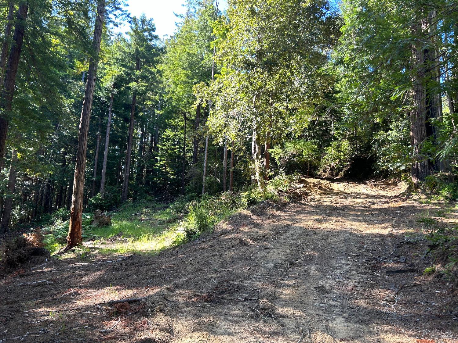 Detail Gallery Image 2 of 11 For 39700 Eureka Hill Rd, Point Arena,  CA 95468 - – Beds | – Baths