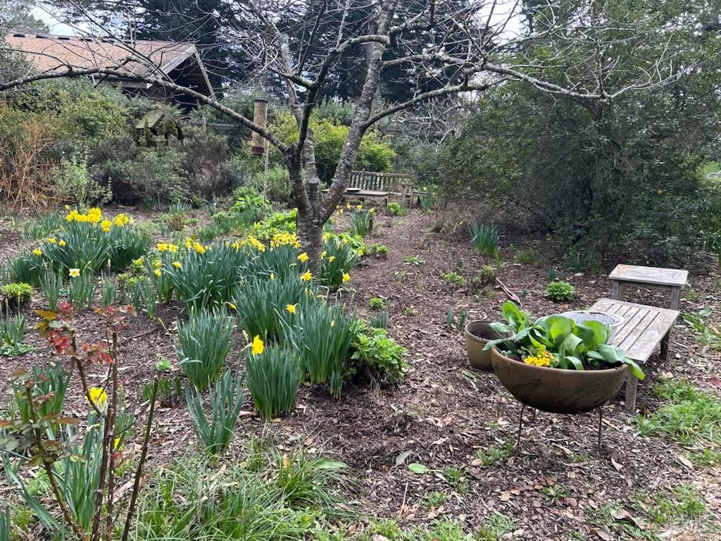 Detail Gallery Image 9 of 55 For 7 Linsdale Ln, Point Reyes Station,  CA 94956 - 3 Beds | 2 Baths