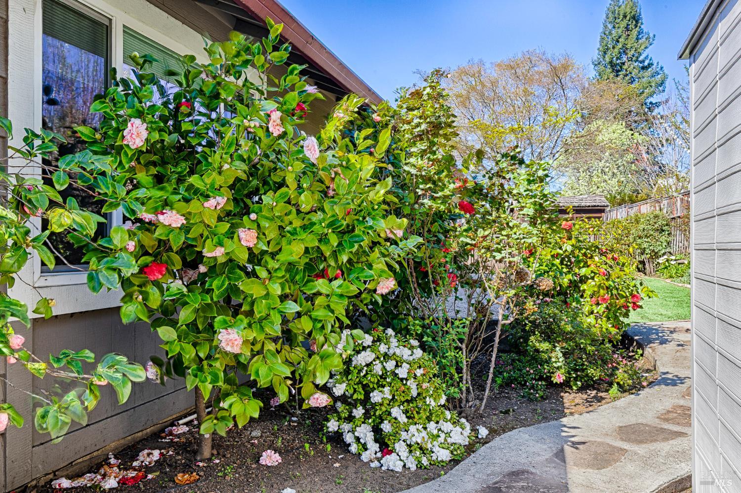 Detail Gallery Image 43 of 48 For 8886 Oakmont Dr, Santa Rosa,  CA 95409 - 3 Beds | 2 Baths