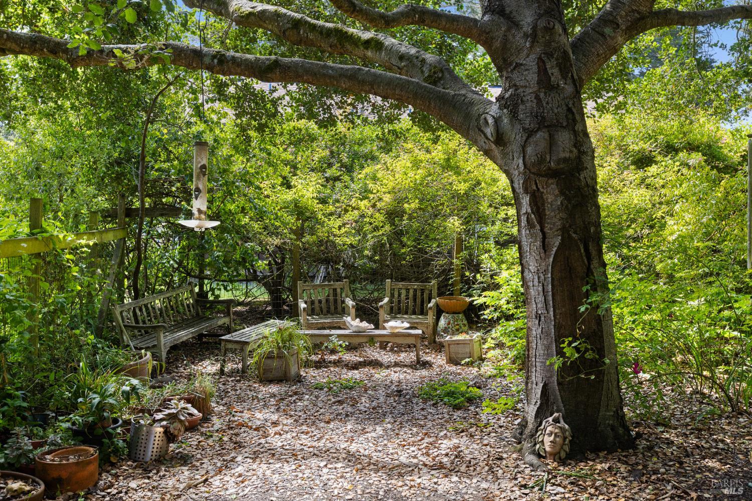 Detail Gallery Image 10 of 55 For 7 Linsdale Ln, Point Reyes Station,  CA 94956 - 3 Beds | 2 Baths