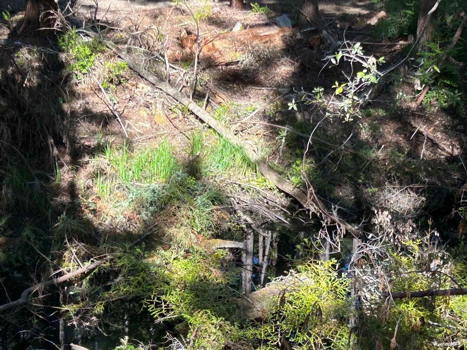 Detail Gallery Image 8 of 13 For 39700 Eureka Hill Rd, Point Arena,  CA 95468 - – Beds | – Baths