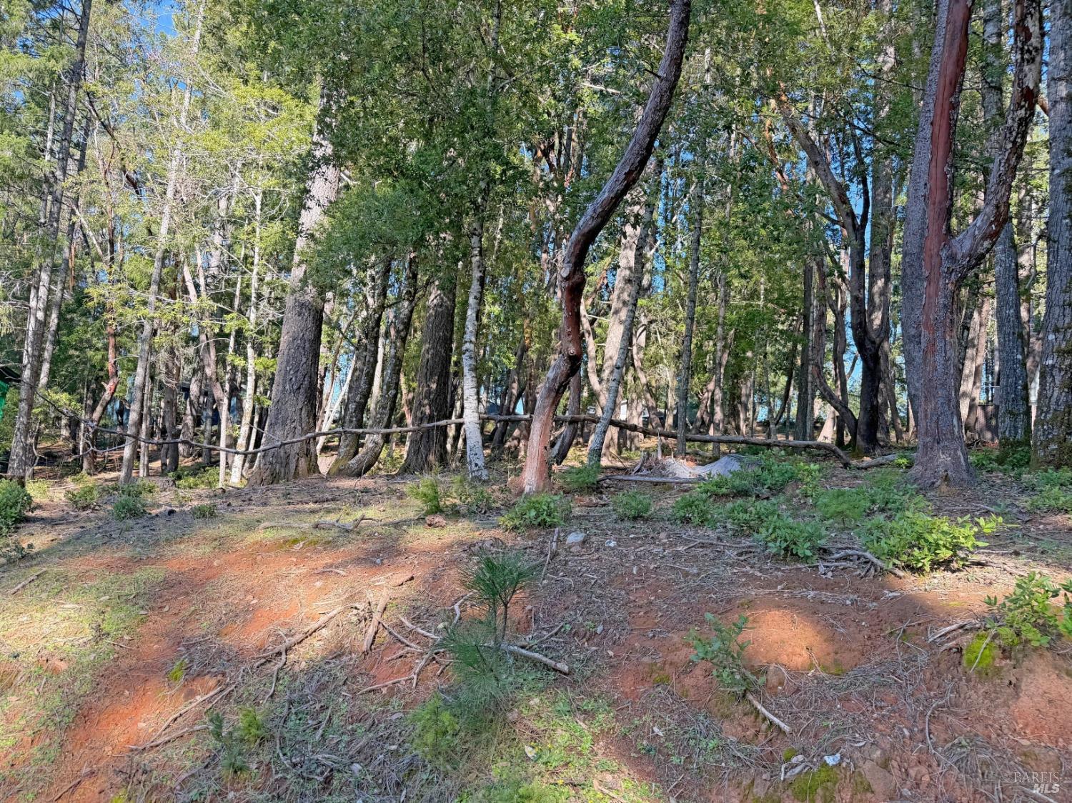 Front Image Thumbnail for BA326018684