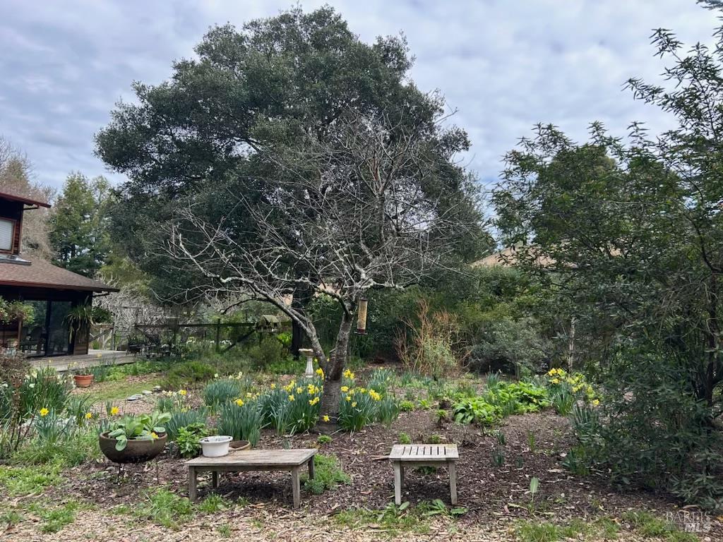 Detail Gallery Image 8 of 55 For 7 Linsdale Ln, Point Reyes Station,  CA 94956 - 3 Beds | 2 Baths