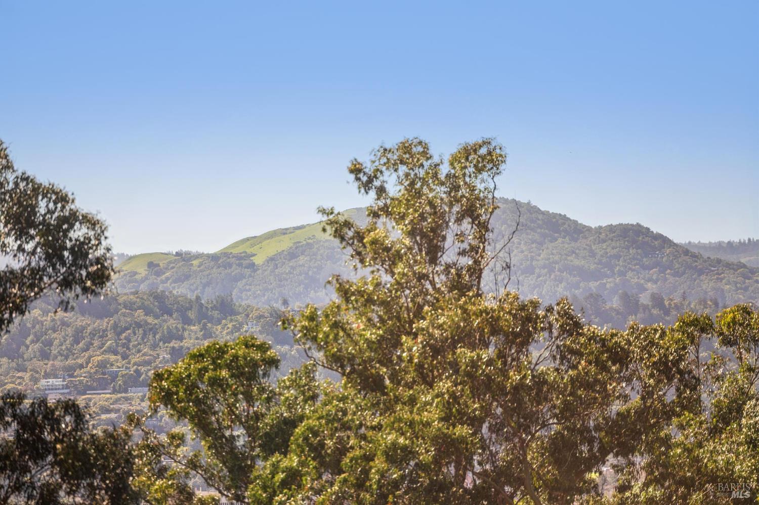 Detail Gallery Image 26 of 80 For 99 Deer Park Ave, San Rafael,  CA 94901 - 4 Beds | 3/1 Baths