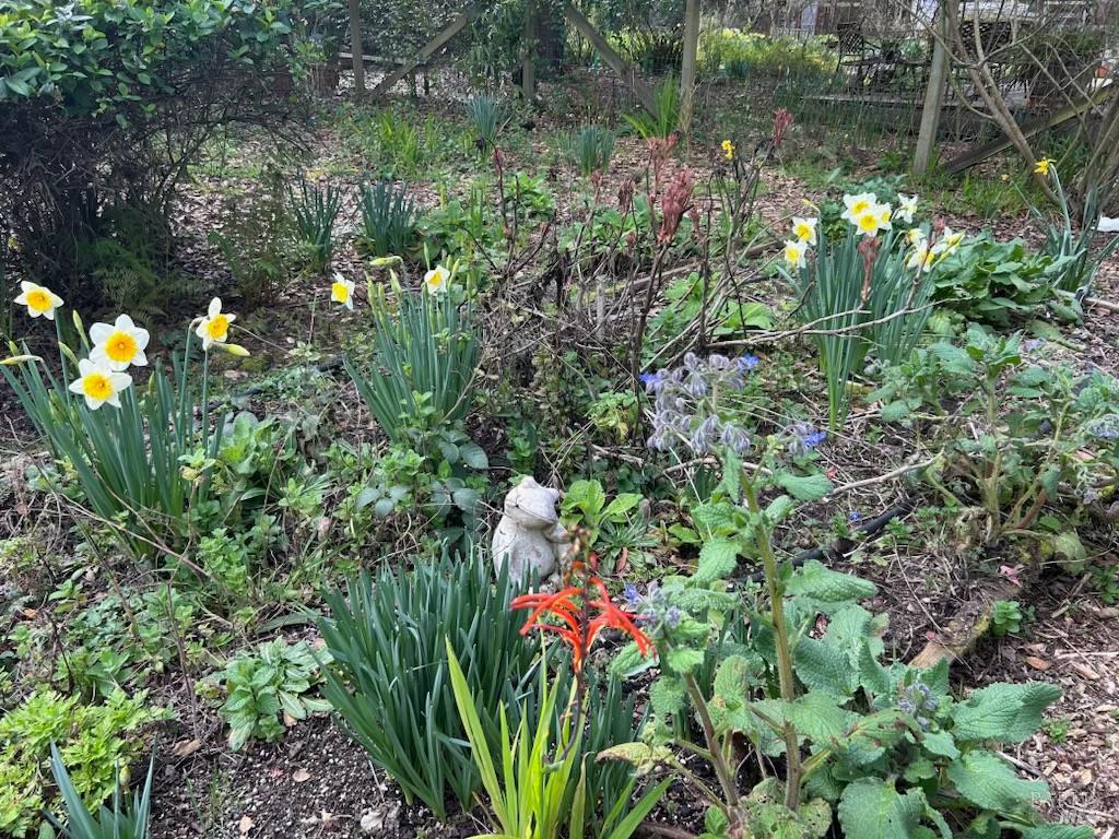 Detail Gallery Image 7 of 55 For 7 Linsdale Ln, Point Reyes Station,  CA 94956 - 3 Beds | 2 Baths