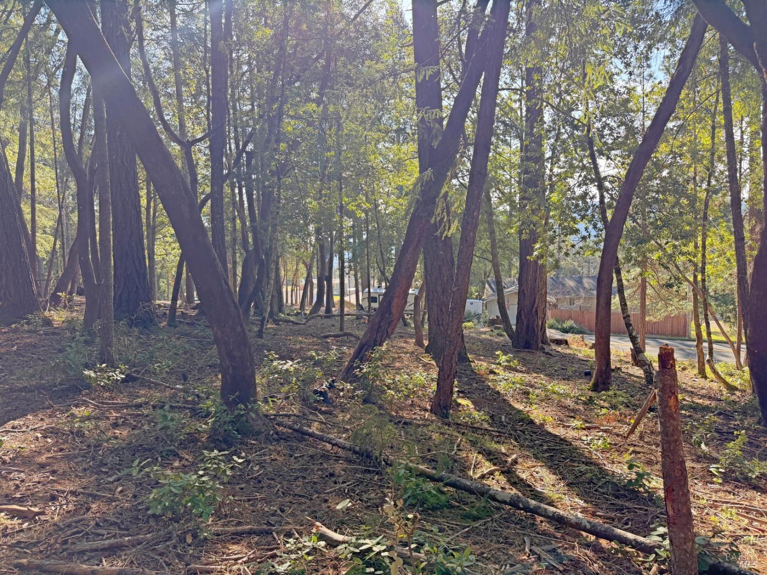 Detail Gallery Image 4 of 7 For 28140 Poppy Dr, Willits,  CA 95490 - – Beds | – Baths