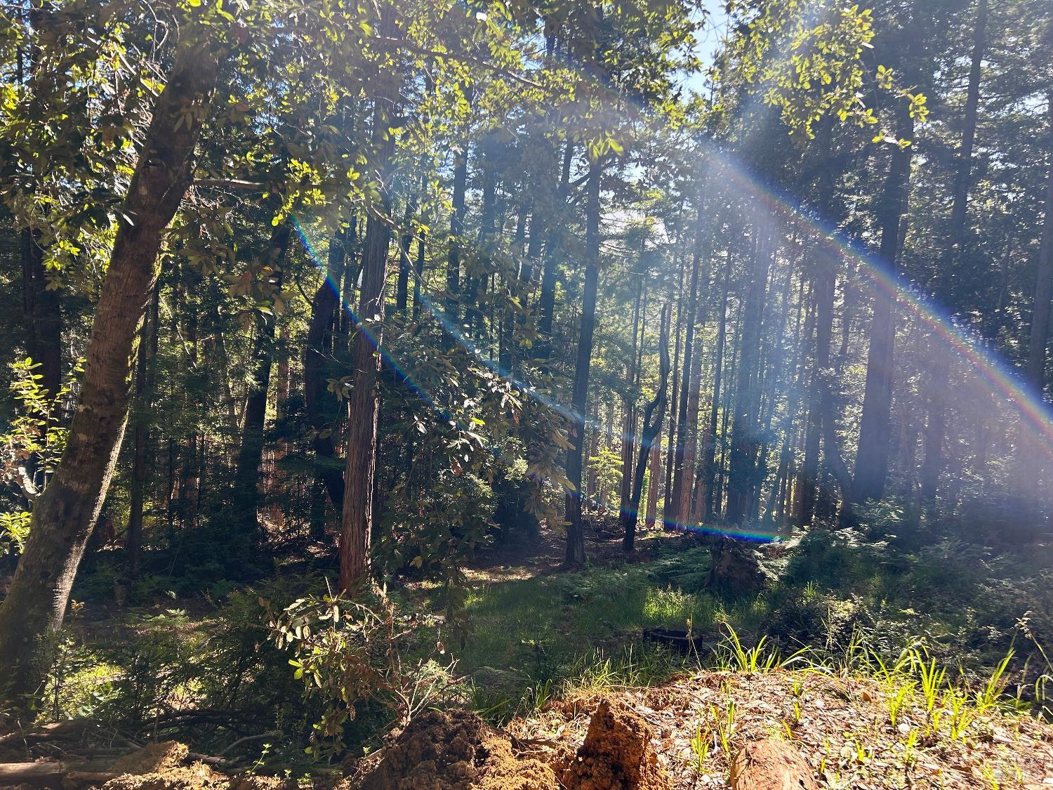 Detail Gallery Image 6 of 11 For 39700 Eureka Hill Rd, Point Arena,  CA 95468 - – Beds | – Baths