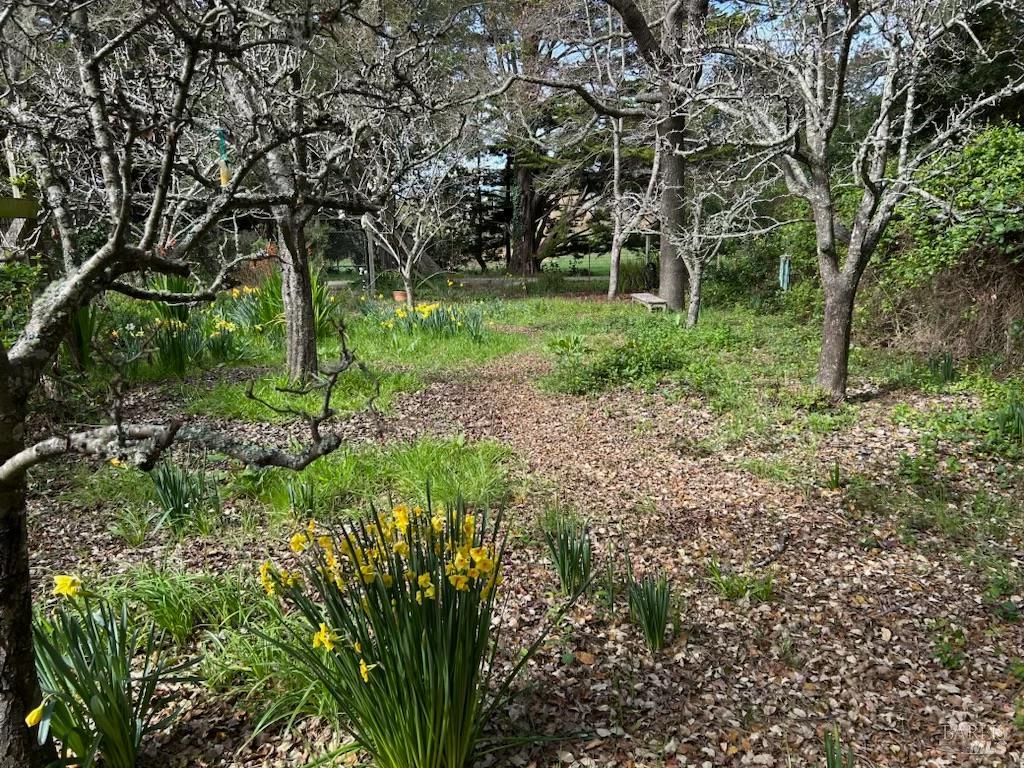 Detail Gallery Image 5 of 55 For 7 Linsdale Ln, Point Reyes Station,  CA 94956 - 3 Beds | 2 Baths