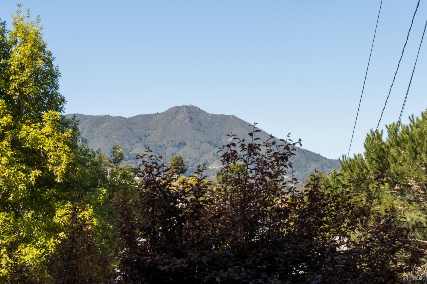 Detail Gallery Image 3 of 13 For 476 Wellesley Ave, Mill Valley,  CA 94941 - 2 Beds | 1/1 Baths