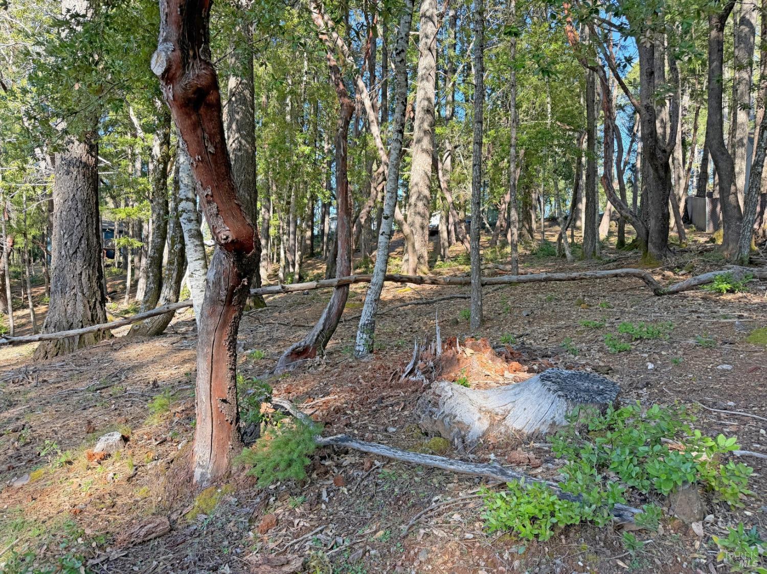 Detail Gallery Image 2 of 7 For 28140 Poppy Dr, Willits,  CA 95490 - – Beds | – Baths