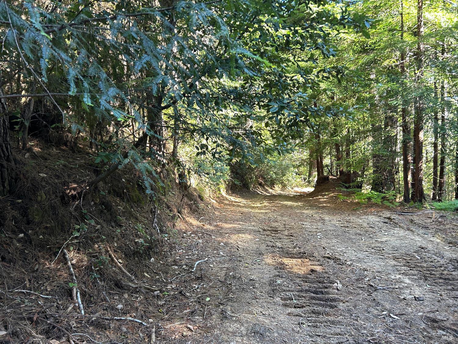 Detail Gallery Image 4 of 11 For 39700 Eureka Hill Rd, Point Arena,  CA 95468 - – Beds | – Baths