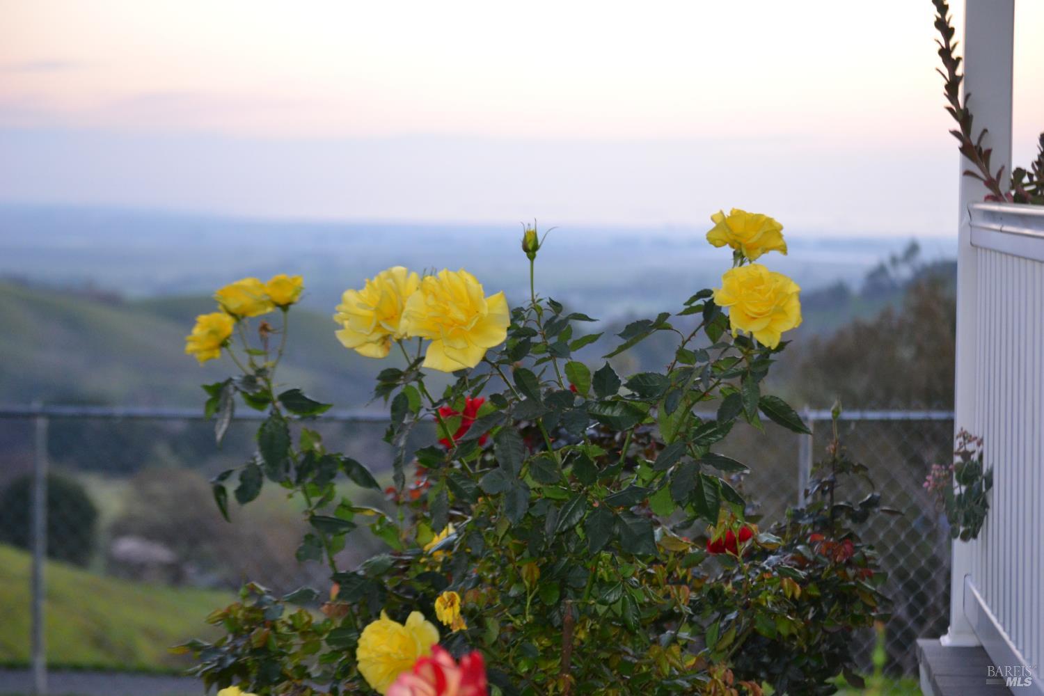 Detail Gallery Image 48 of 65 For 3672 Cantelow Rd, Vacaville,  CA 95688 - 2 Beds | 1/1 Baths