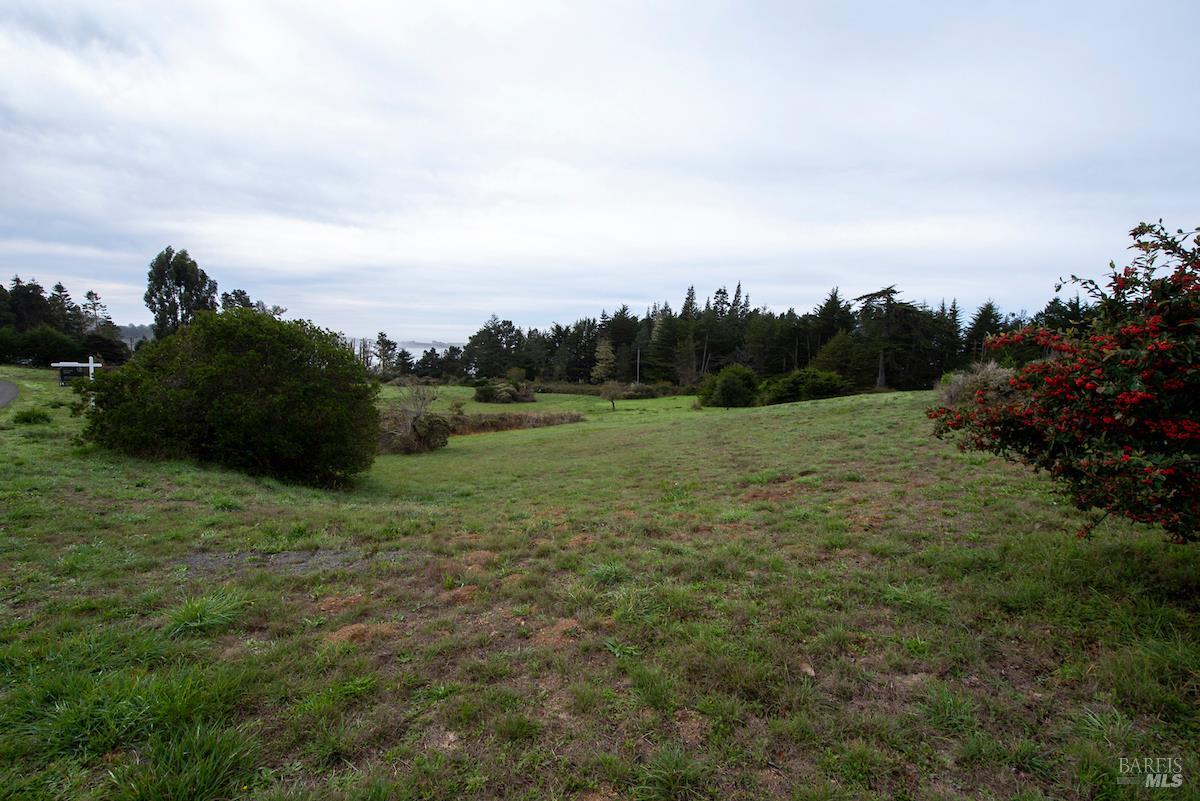 Detail Gallery Image 14 of 15 For 44821 Baywood Dr, Mendocino,  CA 95460 - – Beds | – Baths