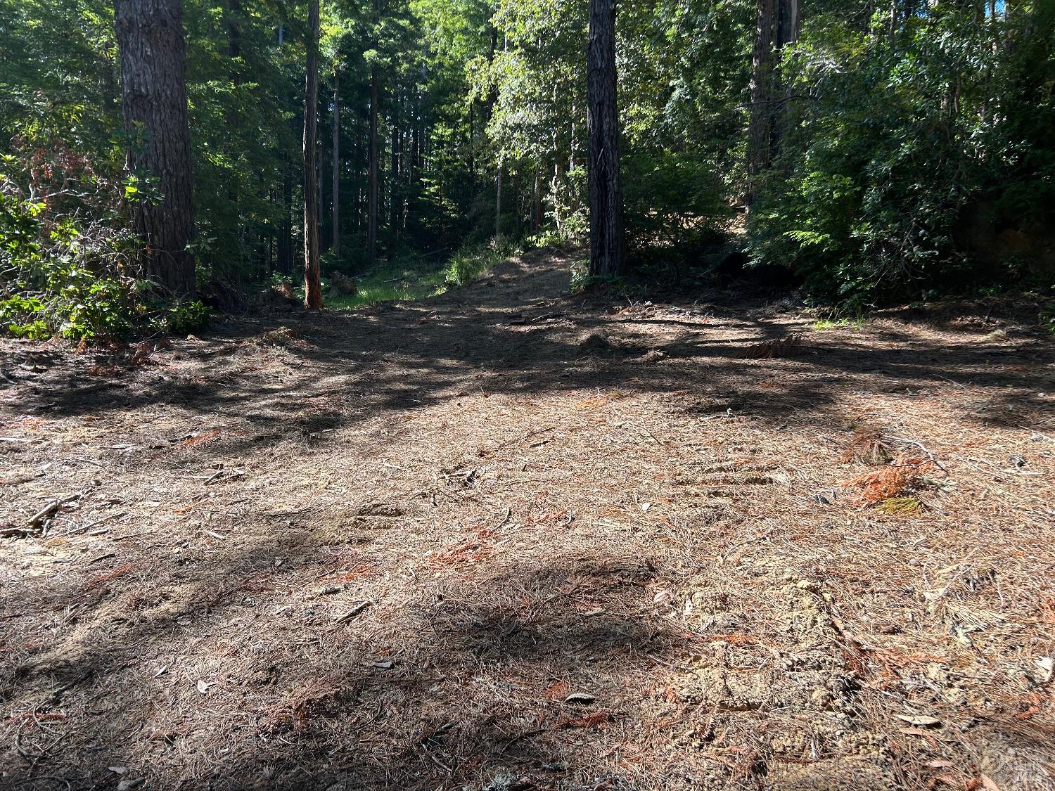 Detail Gallery Image 7 of 11 For 39700 Eureka Hill Rd, Point Arena,  CA 95468 - – Beds | – Baths