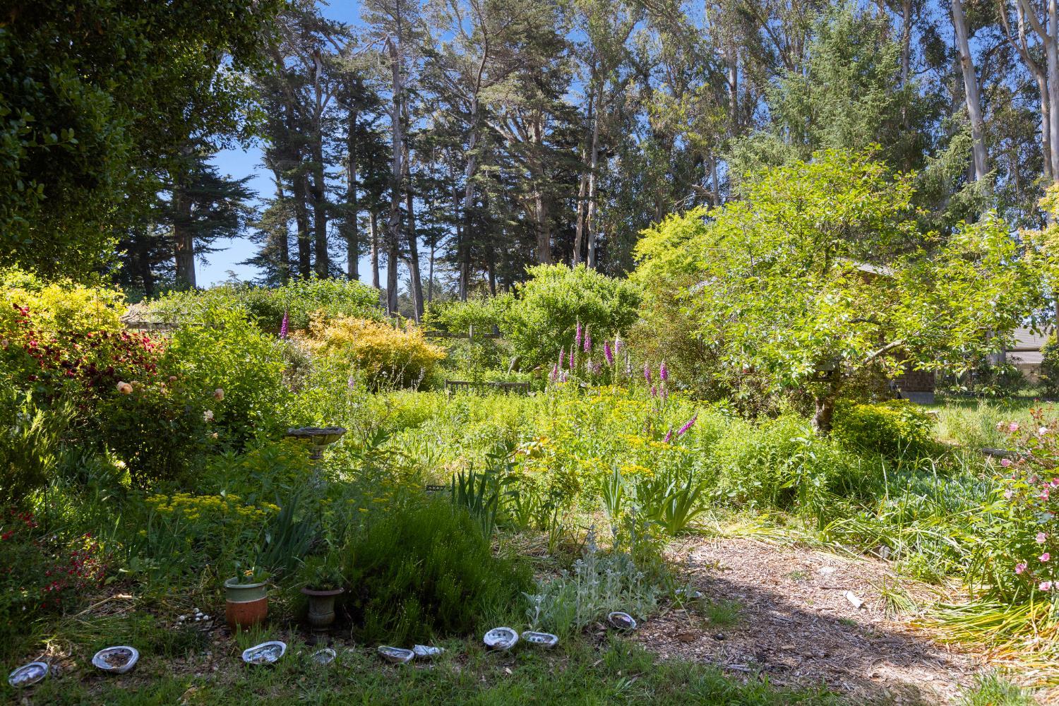 Detail Gallery Image 18 of 55 For 7 Linsdale Ln, Point Reyes Station,  CA 94956 - 3 Beds | 2 Baths