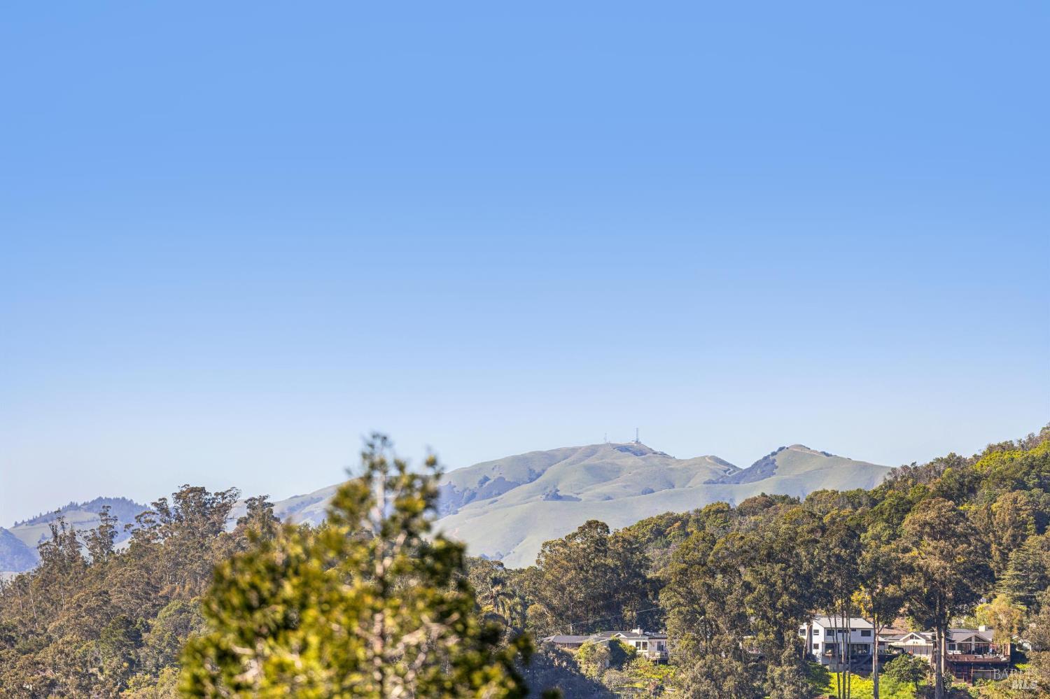 Detail Gallery Image 29 of 80 For 99 Deer Park Ave, San Rafael,  CA 94901 - 4 Beds | 3/1 Baths