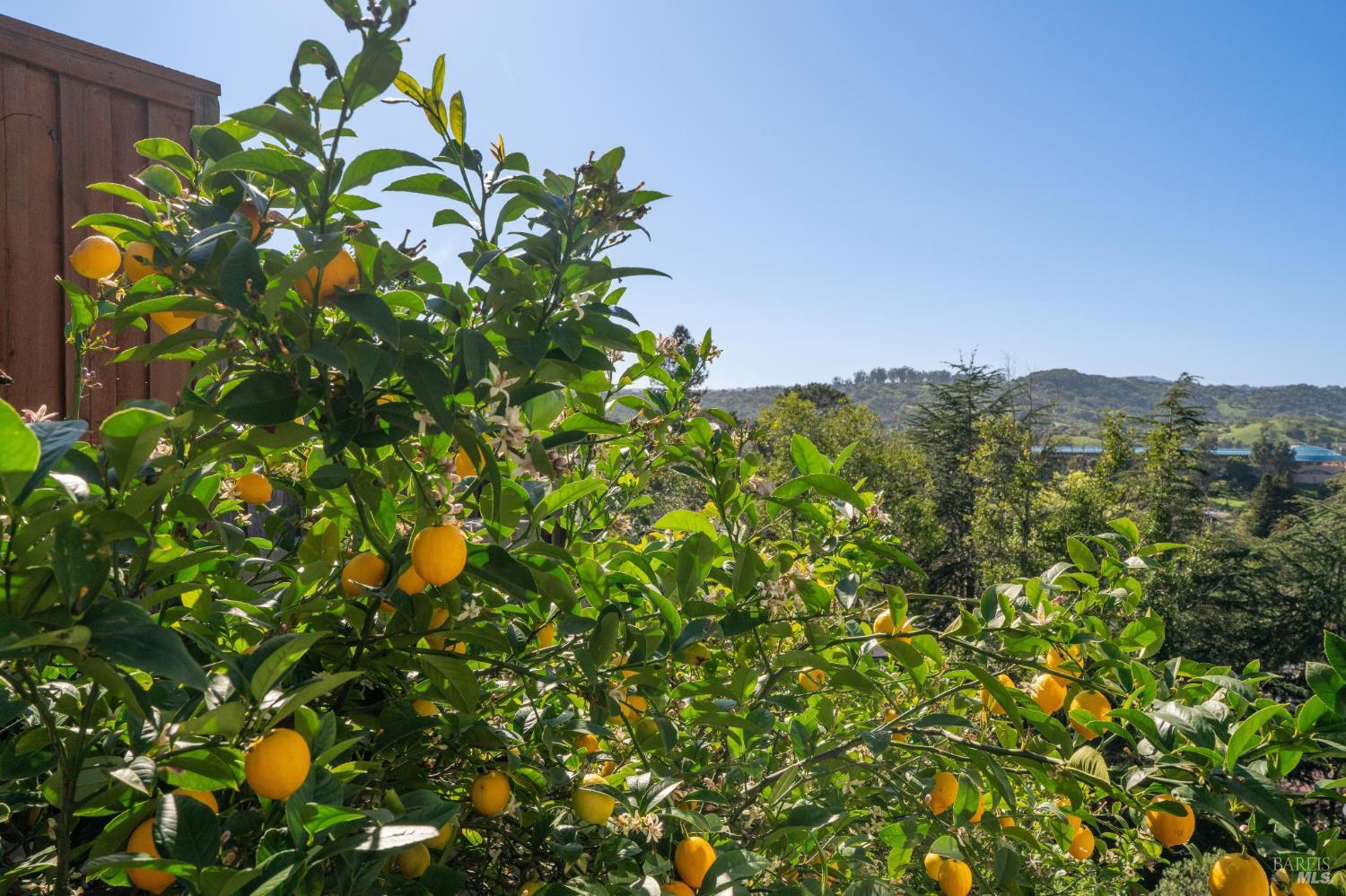 Detail Gallery Image 65 of 67 For 9 Edgehill Way, San Rafael,  CA 94903 - 3 Beds | 3 Baths