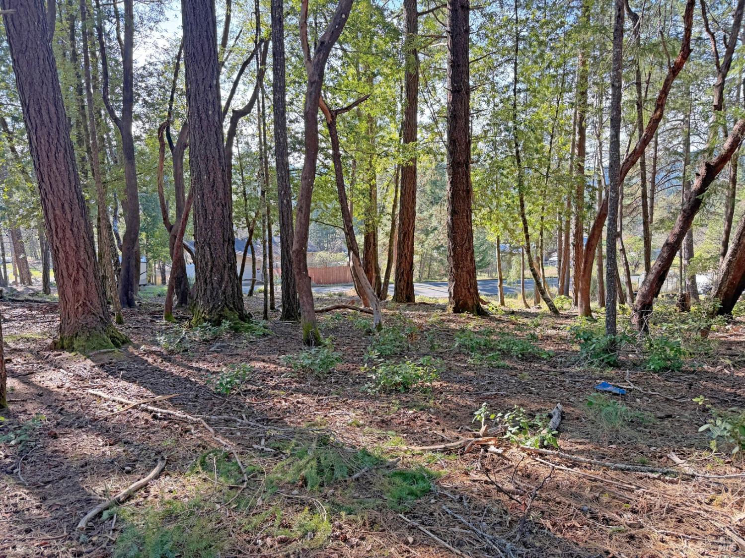 Detail Gallery Image 3 of 7 For 28140 Poppy Dr, Willits,  CA 95490 - – Beds | – Baths