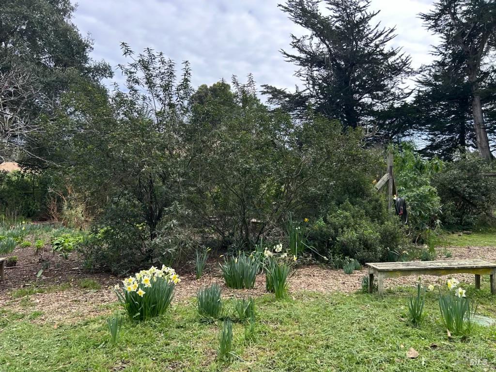 Detail Gallery Image 22 of 55 For 7 Linsdale Ln, Point Reyes Station,  CA 94956 - 3 Beds | 2 Baths