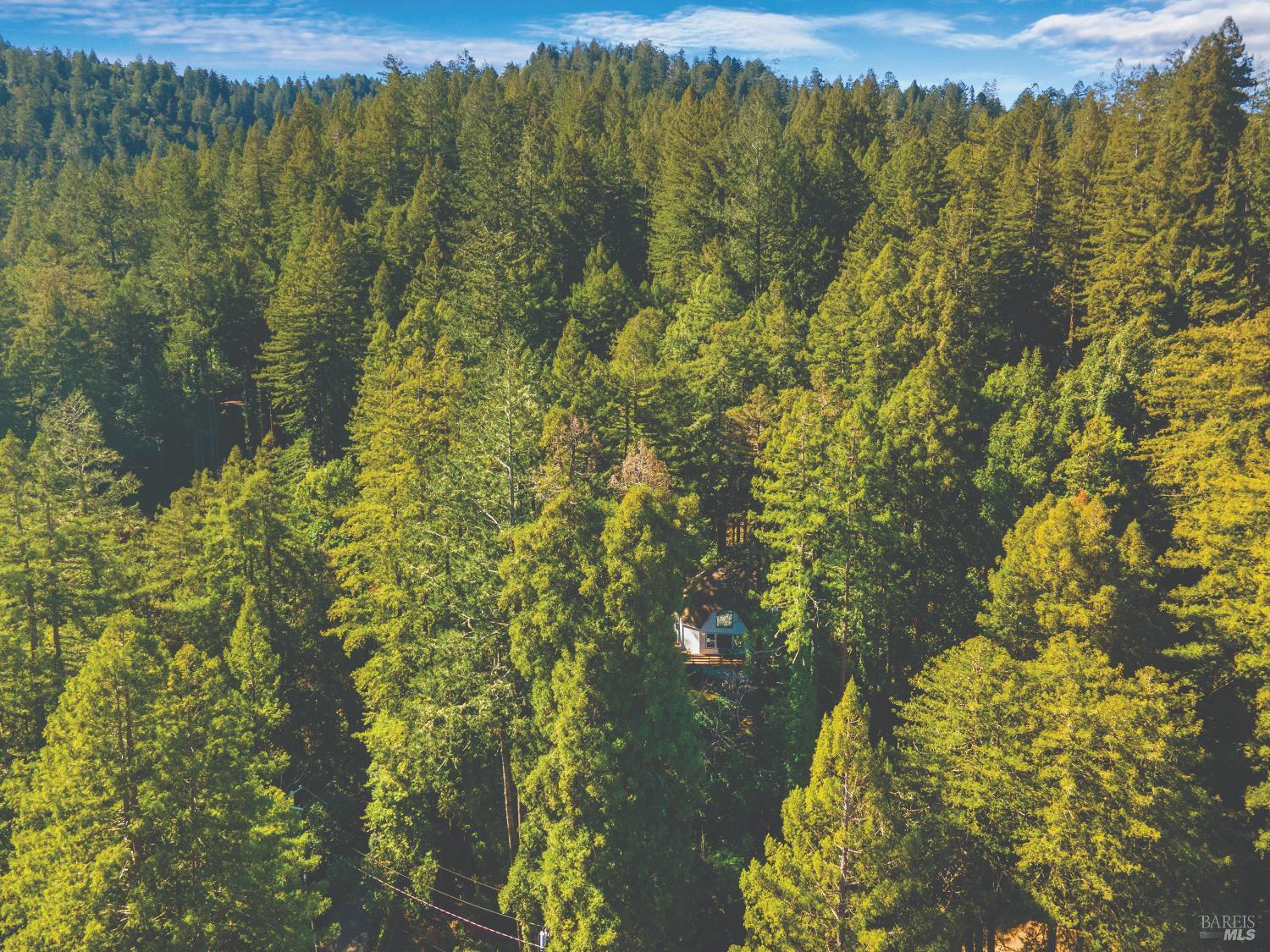 Detail Gallery Image 77 of 77 For 9085 Middle Ter, Monte Rio,  CA 95462 - 1 Beds | 1/1 Baths