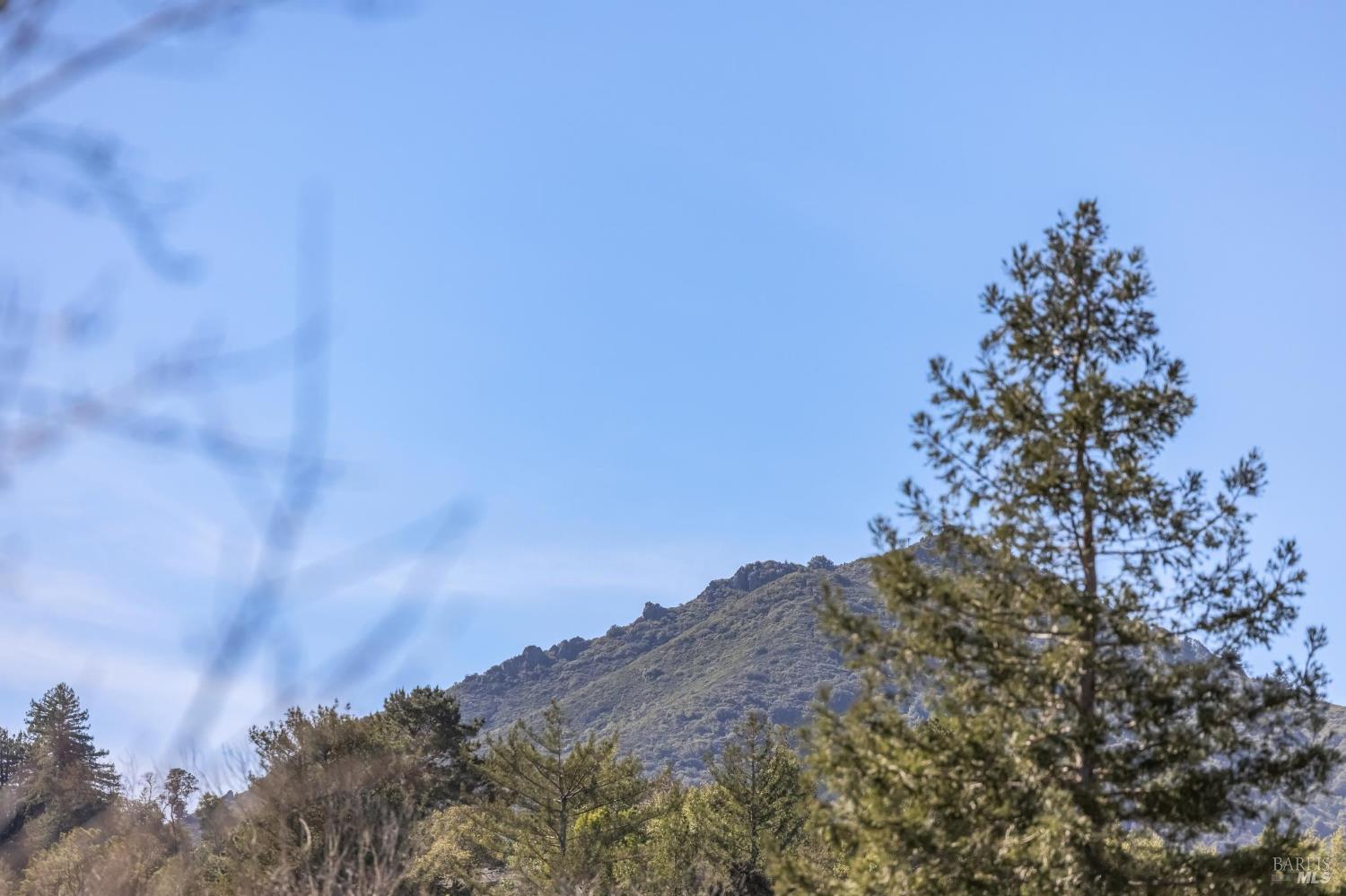 Detail Gallery Image 63 of 64 For 38 Cornell Ave, Larkspur,  CA 94939 - 5 Beds | 3 Baths