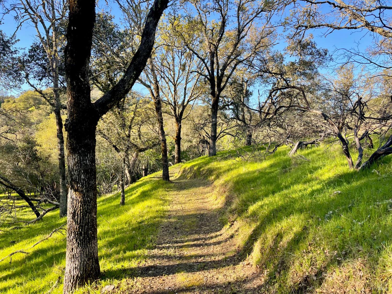 Detail Gallery Image 77 of 82 For 2843 Wright Ranch Ln, Healdsburg,  CA 95448 - 4 Beds | 3/1 Baths