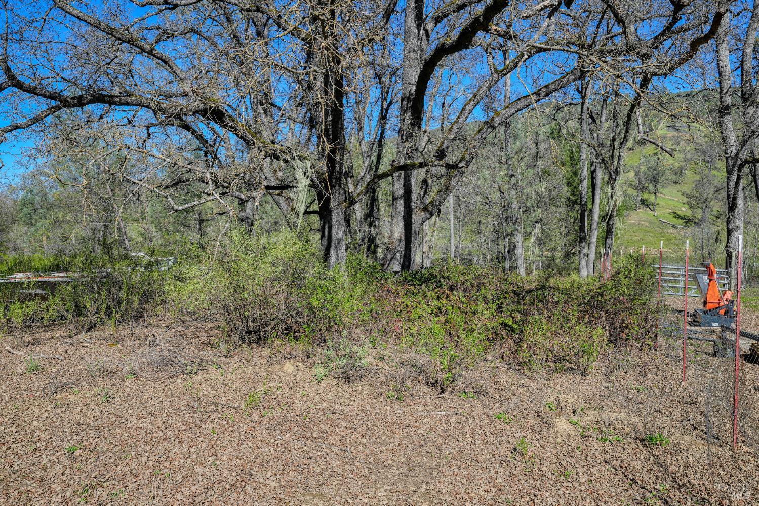 Detail Gallery Image 53 of 57 For 2393 New Long Valley Rd, Clearlake Oaks,  CA 95423 - – Beds | – Baths