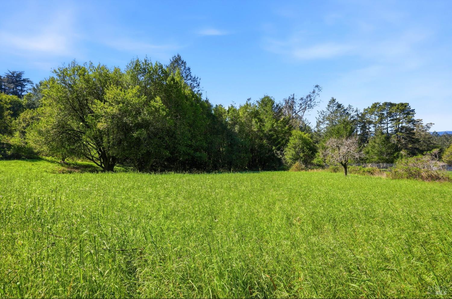 Detail Gallery Image 57 of 63 For 4142 Burnside Rd, Sebastopol,  CA 95472 - 3 Beds | 3 Baths