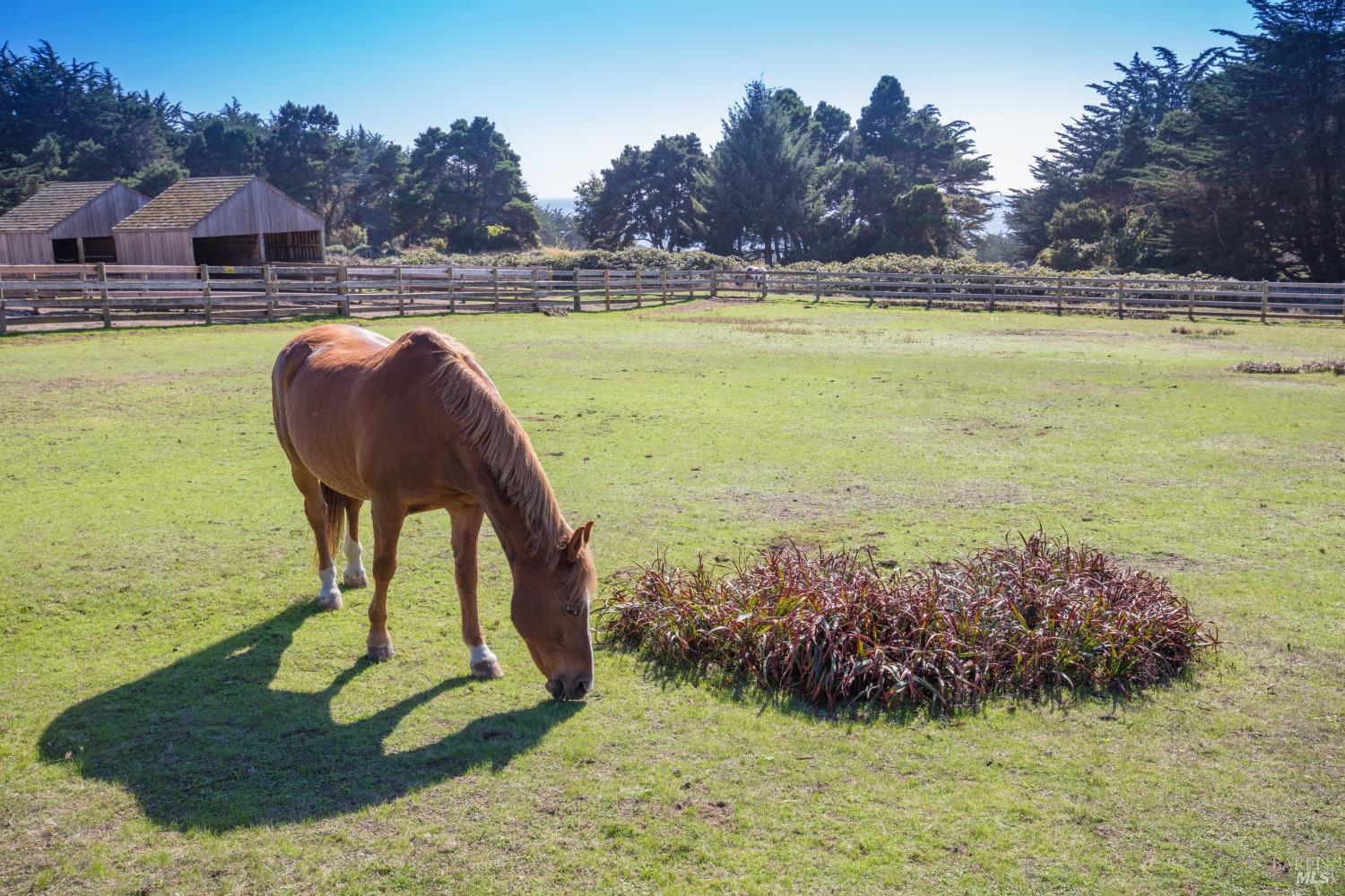 Detail Gallery Image 16 of 17 For 37284 Rams Horn Reach Unkn, The Sea Ranch,  CA 95497 - – Beds | – Baths