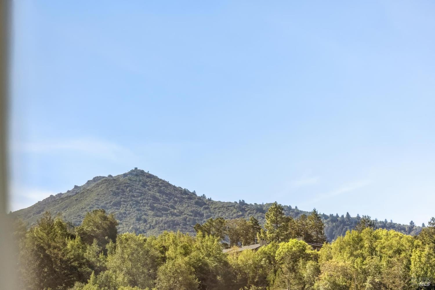 Detail Gallery Image 35 of 64 For 38 Cornell Ave, Larkspur,  CA 94939 - 5 Beds | 3 Baths