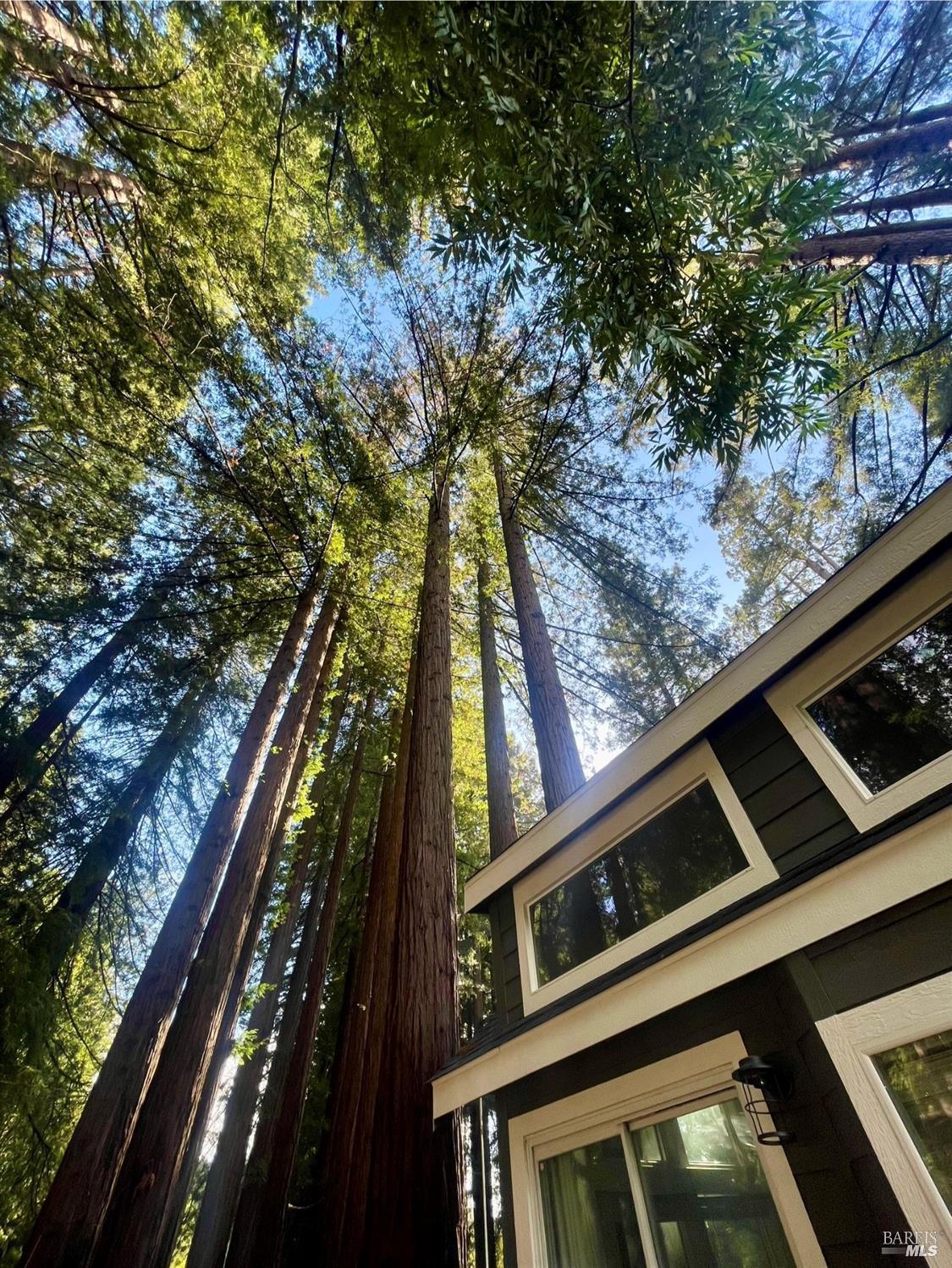 Detail Gallery Image 13 of 21 For 14755 Armstrong Woods Rd 18, Guerneville,  CA 95446 - 1 Beds | 1 Baths