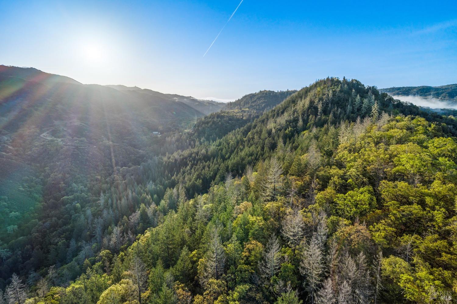 Detail Gallery Image 4 of 56 For 5155 Mill Creek Rd, Talmage,  CA 95481 - – Beds | – Baths