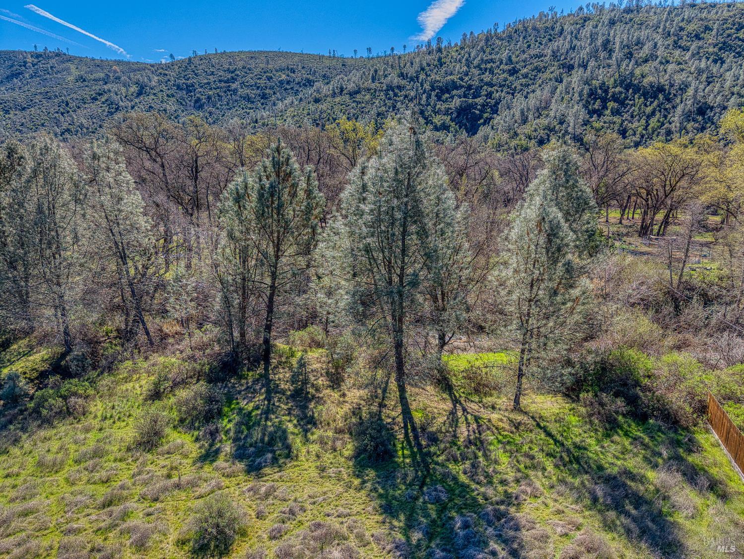 Detail Gallery Image 38 of 57 For 2393 New Long Valley Rd, Clearlake Oaks,  CA 95423 - – Beds | – Baths