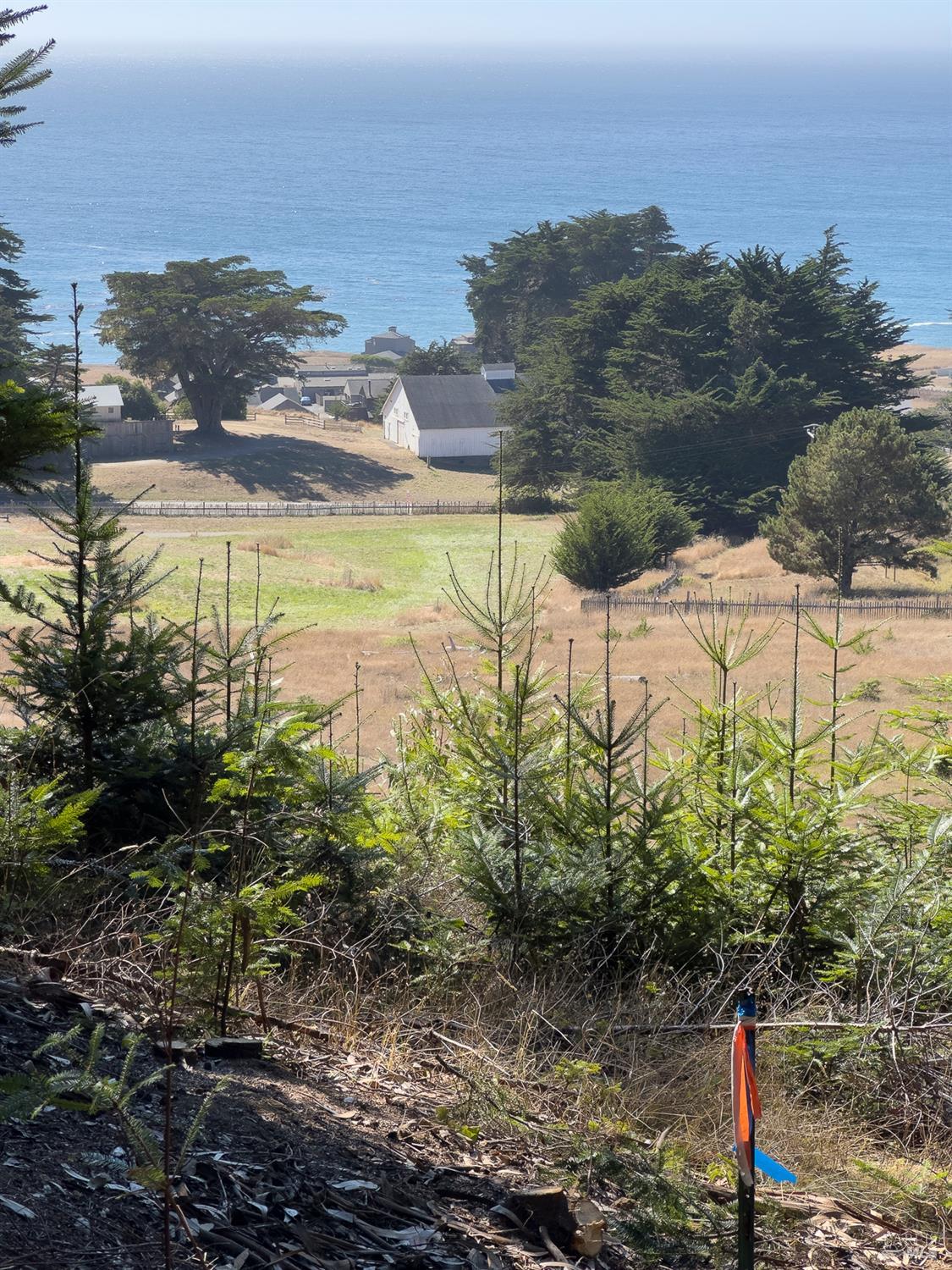 Detail Gallery Image 12 of 17 For 37284 Rams Horn Reach Unkn, The Sea Ranch,  CA 95497 - – Beds | – Baths