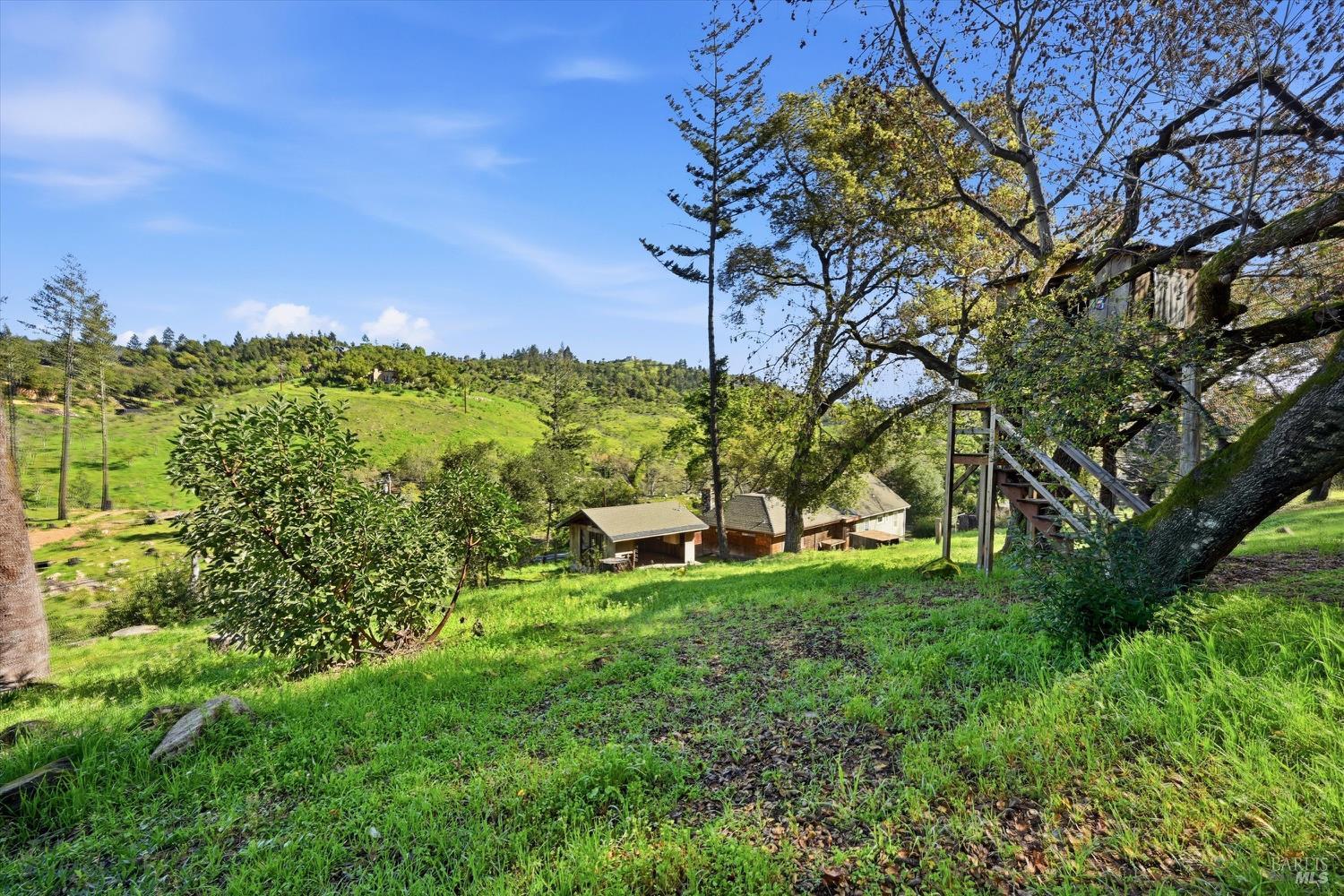 Detail Gallery Image 36 of 41 For 1830 Howell Mountain Rd, Saint Helena,  CA 94574 - 2 Beds | 1/1 Baths