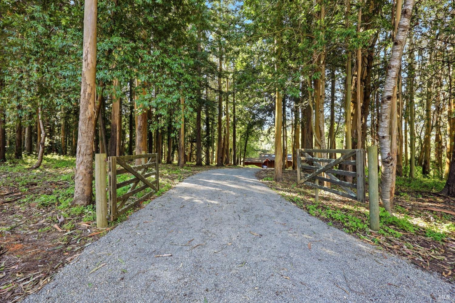 Detail Gallery Image 56 of 63 For 4142 Burnside Rd, Sebastopol,  CA 95472 - 3 Beds | 3 Baths