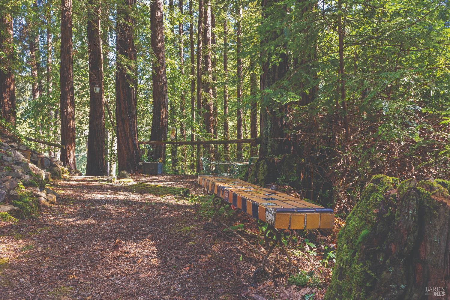 Detail Gallery Image 54 of 77 For 9085 Middle Ter, Monte Rio,  CA 95462 - 1 Beds | 1/1 Baths