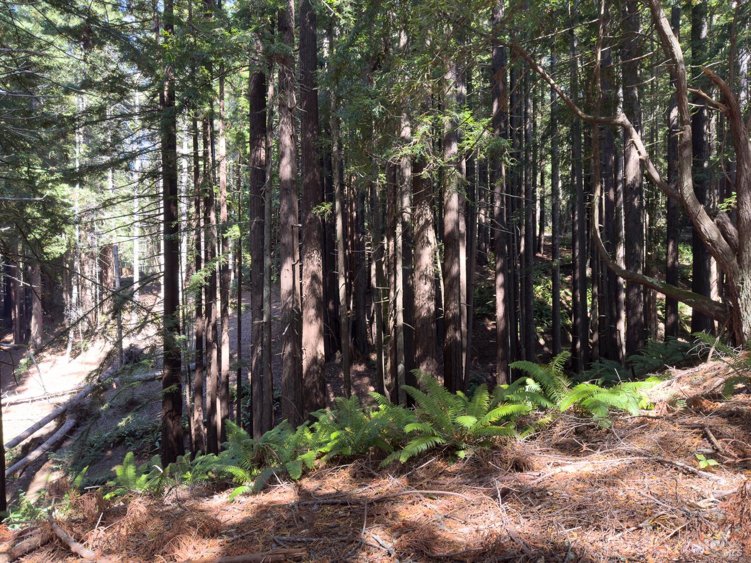 Detail Gallery Image 9 of 17 For 37284 Rams Horn Reach Unkn, The Sea Ranch,  CA 95497 - – Beds | – Baths