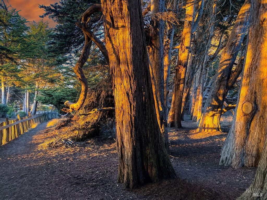 Detail Gallery Image 68 of 70 For 39574 Leeward Rd, The Sea Ranch,  CA 95497 - 2 Beds | 3 Baths