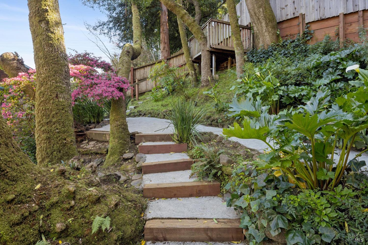 Detail Gallery Image 18 of 19 For 51 Tamalpais Rd, Fairfax,  CA 94930 - 2 Beds | 1 Baths